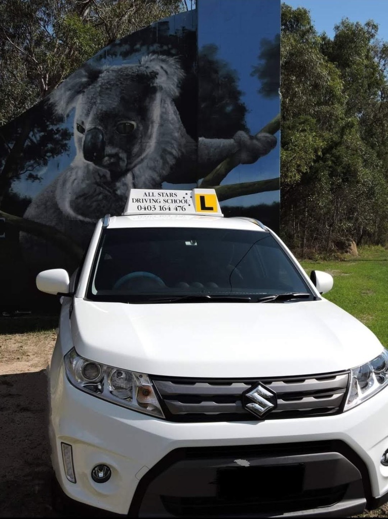 Driving Lesson Screenshot